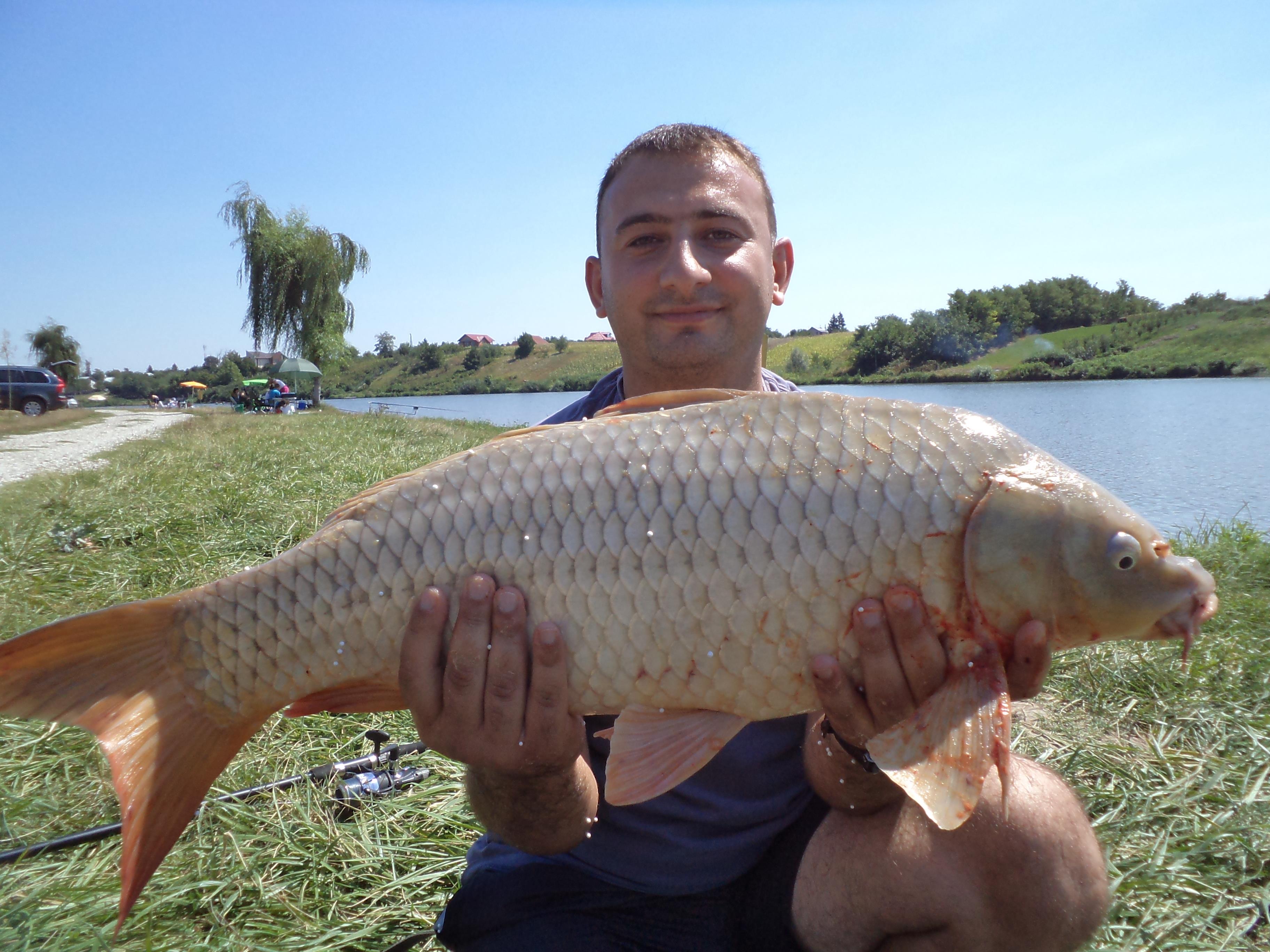 2011  - DSC00871.JPG